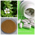 Bacopa Monnieri Extract Capsules